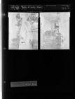 Body of Henry Mann (2 Negatives) (February 6, 1954) [Sleeve 11, Folder b, Box 3]